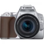 image produit Canon 250D Reflex numérique + EF-S 18-55mm f/4-5, 6 is STM - Gris Argent