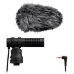 image produit Canon DM-E100 Stereomicrophone