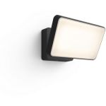 image produit Philips Hue White and Color Ambiance Projecteur Extérieur DISCOVER Aluminium Noir - livrable en France