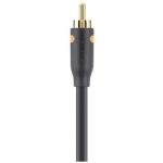 image produit Belkin - Câble Audio RCA, M/M avec Connecteurs Plaqués or - 2M - Noir