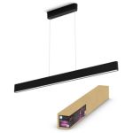 image produit Philips Hue White & Color Ambiance ENSIS Suspension 2x39W Noir - Luminaire suspension avec Bluetooth - Luminaire Philips compatible avec Alexa, Google Assistant et Apple Homekit - livrable en France
