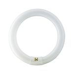 image produit Philips Ampoule G10Q CIRCLINE 32w 4000K /840