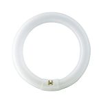 image produit Philips Générique - G10Q CIRCLINE 40w 4000K/840