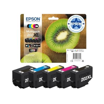 image Epson Tambour, Multicolore, Normal