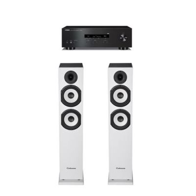 Amplificateur Yamaha R-S202D Noir + Paire d'enceintes colonne Cabasse Jersey MT32/2 Blanc