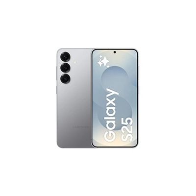 image Galaxy S25 256 Go Gris