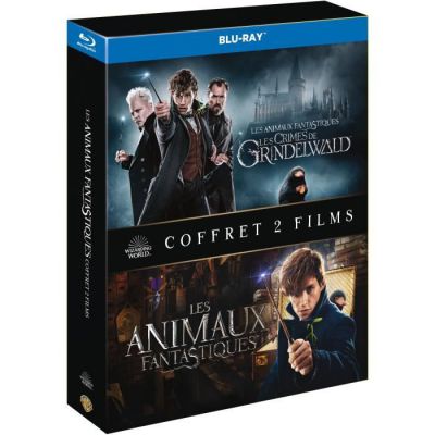 image Animaux fantastiques : Les Crimes de Grindelwald [Blu-Ray]