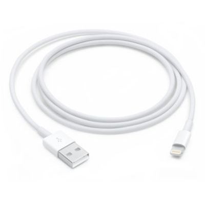 image Apple Câble Lightning vers USB (1 m)