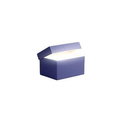 image Mystery Box pour Galaxy S26