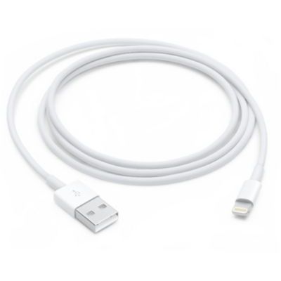 Câble Apple Lightning  pour iPhone vers USB (1 m)-md818zm