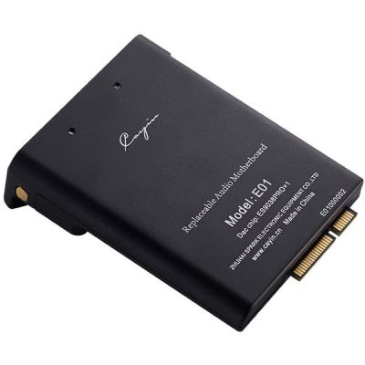 image Accessoires baladeurs Cayin E01