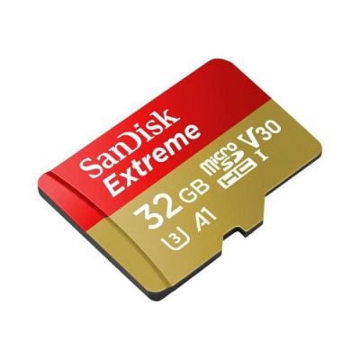 image SanDisk Extreme carte mémoire 32Go microSDhC (100Mo/s, Class 10, U3, V30)