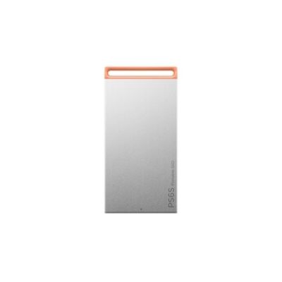Disque portable PS6S 512 Go Argent