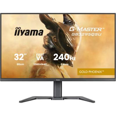 iiyama GB3295QSU-B1-31.5" IPS,2560x1440/240Hz,2H1DP,Has
