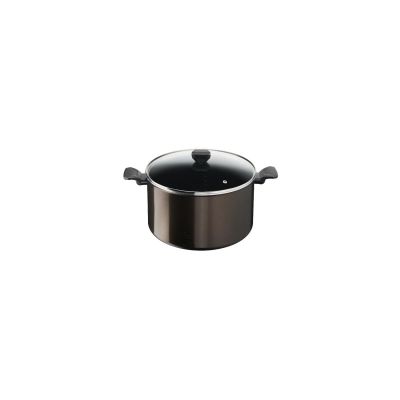 Tefal - Easy Cook & Clean Marmite avec couvercle en verre - 30 cm
