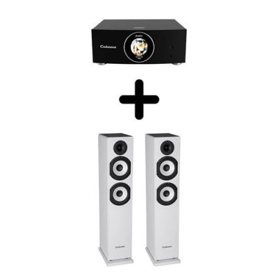 Un Ampli Cabasse AMP 240S + une paire d'enceintes colonne Cabasse Jersey MT32/2
