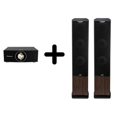 Un Ampli Cabasse AMP 240S + une paire d'enceintes colonne Cabasse Jersey MC170