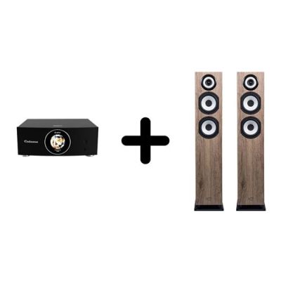 Un Ampli Cabasse AMP 240S + une paire d'enceintes colonne Cabasse Java MC40
