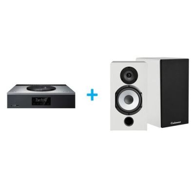 Amplificateur Hi-Fi Technics SA-C600EG-S Argent + une paire d'enceintes bibliothèque Cabasse Antigua MT32/2 Blanc mat