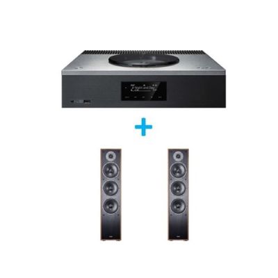 Amplificateur Hi-Fi Technics SA-C600EG-S Argent + une paire d'enceintes colonne Magnat Monitor S70 Noyer