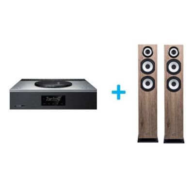 Amplificateur Hi-Fi Technics SA-C600EG-S Argent + une paire d'enceintes colonne Cabasse Java MC40 Chêne blanchie