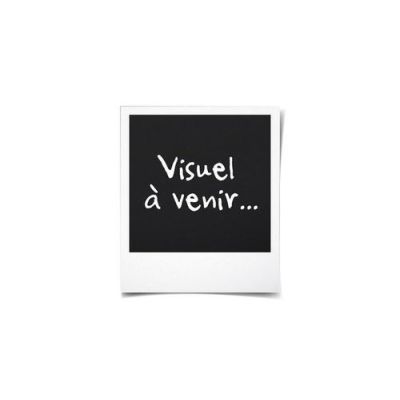Sèche-linge pompe à chaleur Asko T411HD.W 11 Kg
