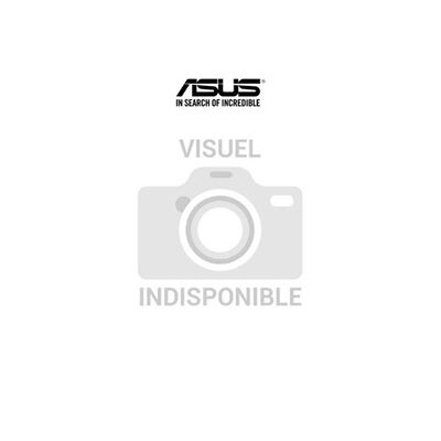 Unité Centrale Asus T500MV-07240H284W Gris