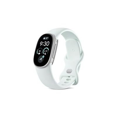 Montre connectée Fitbit Edge Gris Fog