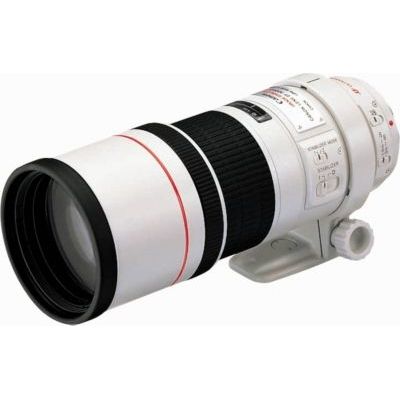 Canon EF Téléobjectif 300 mm f/4.0 L IS USM