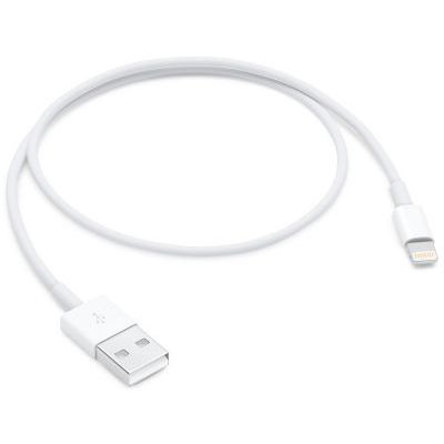 image Câble Lightning vers USB (0,5 m)