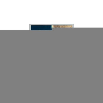 image Ecran PC Acer B196LAymdr 19 pouces (48,3cm, TFT)