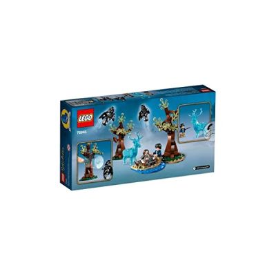 LEGO-Harry Potter Expecto Patronum Jeu d'Assemblage 121 Pièces 75945
