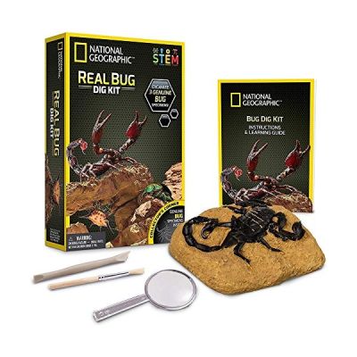 Bandai - National Geographic - Kit de fouille - 3 insectes à extraire - scorpion, coléoptère et araignée épineuse- Jeu scientifique et éducatif - STEM - JM00646