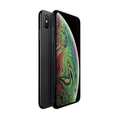 image Apple iPhone XS Max (256 Go) Gris Sidéral