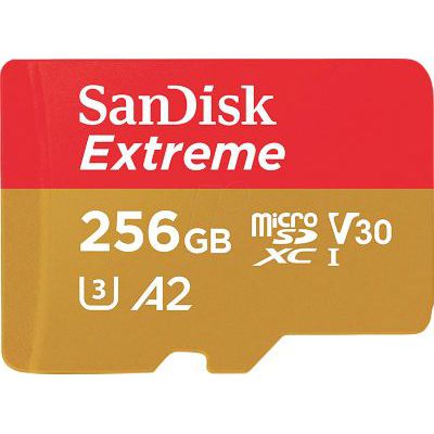 image Carte microSD Extreme SanDisk 256 Go pour le mobile gaming