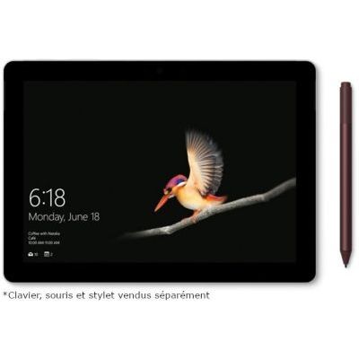 Microsoft Surface Go – PC Hybride (écran 10 pouces, Intel Pentium Gold, 4Go de RAM, 64Go de stockage eMMC) – Platine