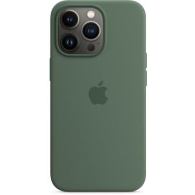 image Coque Apple iPhone 13 Pro Silicone Eucalyptus Magsaf