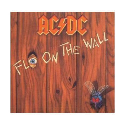 Fly on the wall