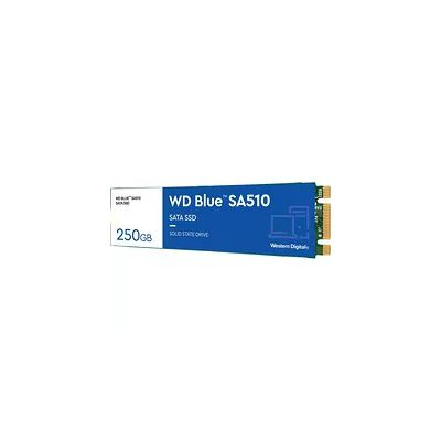 WD Blue SA510 250 Go, SATA SSD, jusqu'à 555 Mo/s, Comprend Acronis True Image for Western Digital, Clonage de dique et migration, sauvegarde souple et récupération, protection anti-rançongiciels