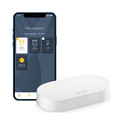 image Somfy 1870755 - Kit de connectivité | Pour contrôler les moteurs et l'éclairage Somfy avec un smartphone | Compatible moteurs io & RTS| Contrôle à la voix via l'Assistant Google, Amazon Alexa, HomeKit