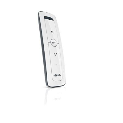 Somfy 1870496 - Télécommande pour Volets Et Stores Motorisés - Situo 1 RTS Pure | pour Commander 1 Moteur Ou 1 Groupe De Moteurs Radio RTS