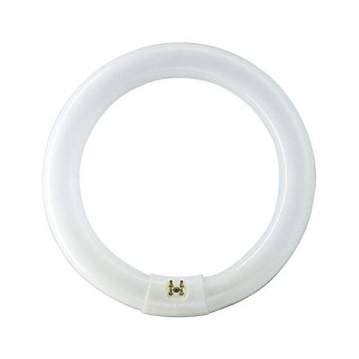 image Philips Générique - G10Q CIRCLINE 40w 4000K/840