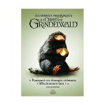 image produit Les Animaux fantastiques : Les Crimes de Grindelwald