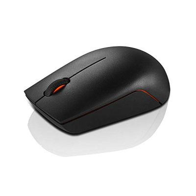 Lenovo Souris Compacte sans Fil 300 - WW