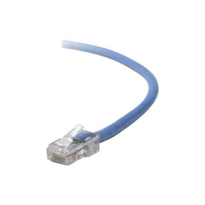 BELKIN Cordon de raccordement - RJ-45 (M) pour RJ-45 (M) - 10 m - UTP - CAT 5e - Bleu