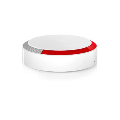 Somfy 2401491 - Sirène Extérieure Somfy Protect - Compatible gammes Home Alarm et Somfy One - 112dB & Flash Lumineux - Fabriqué en France