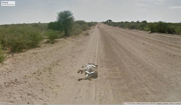 Ane Google Street View